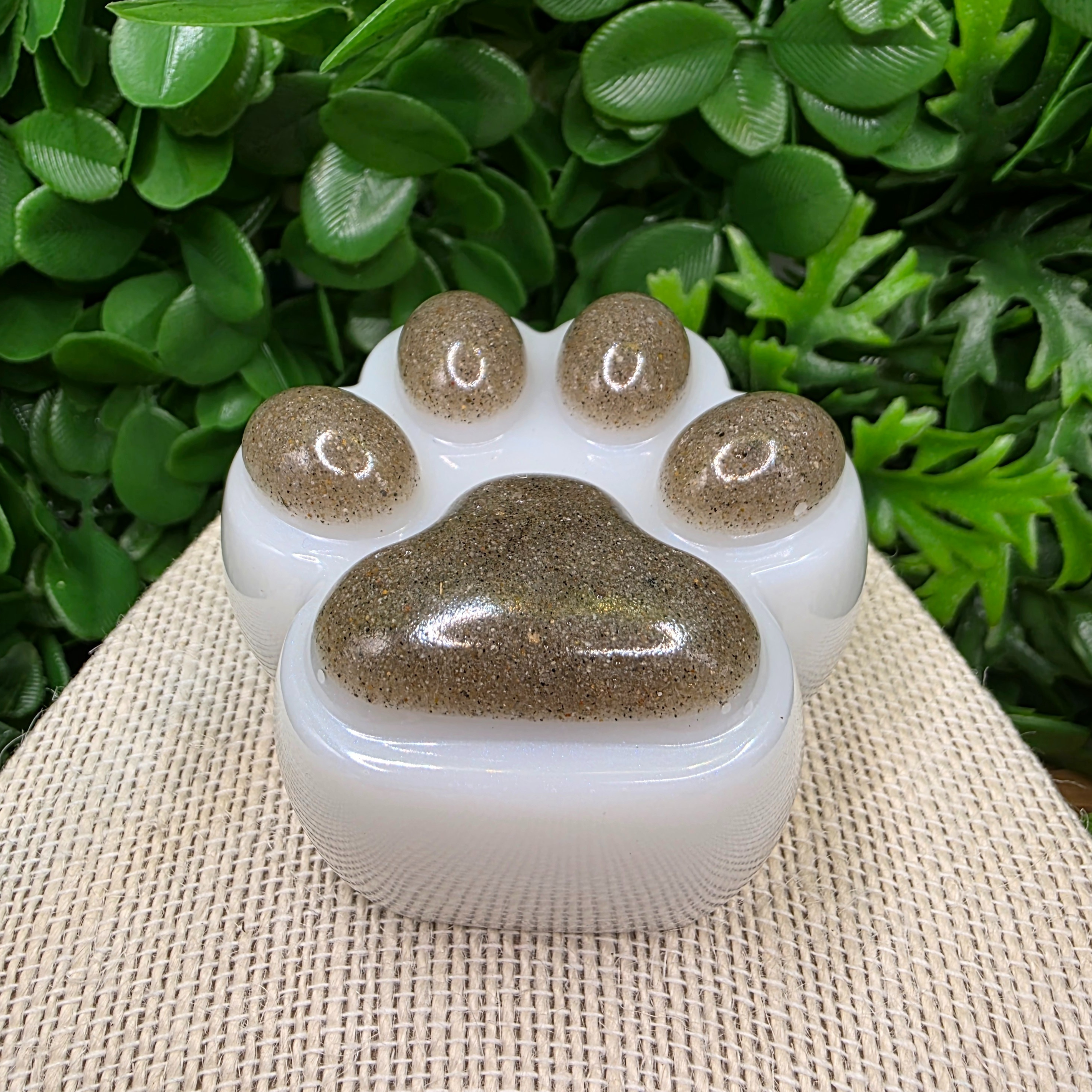 Paw Print Resin Keepsake