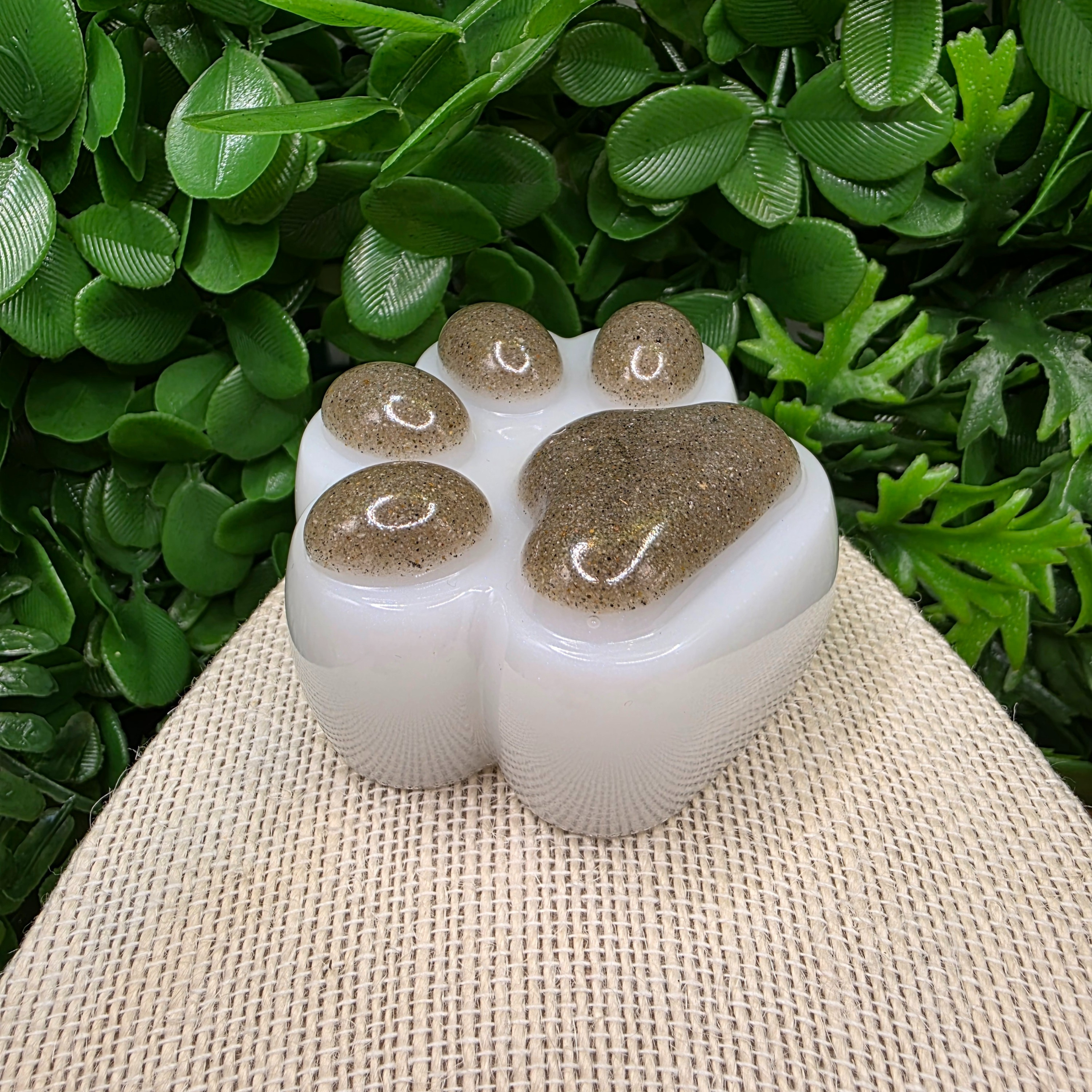 Paw Print Resin Keepsake