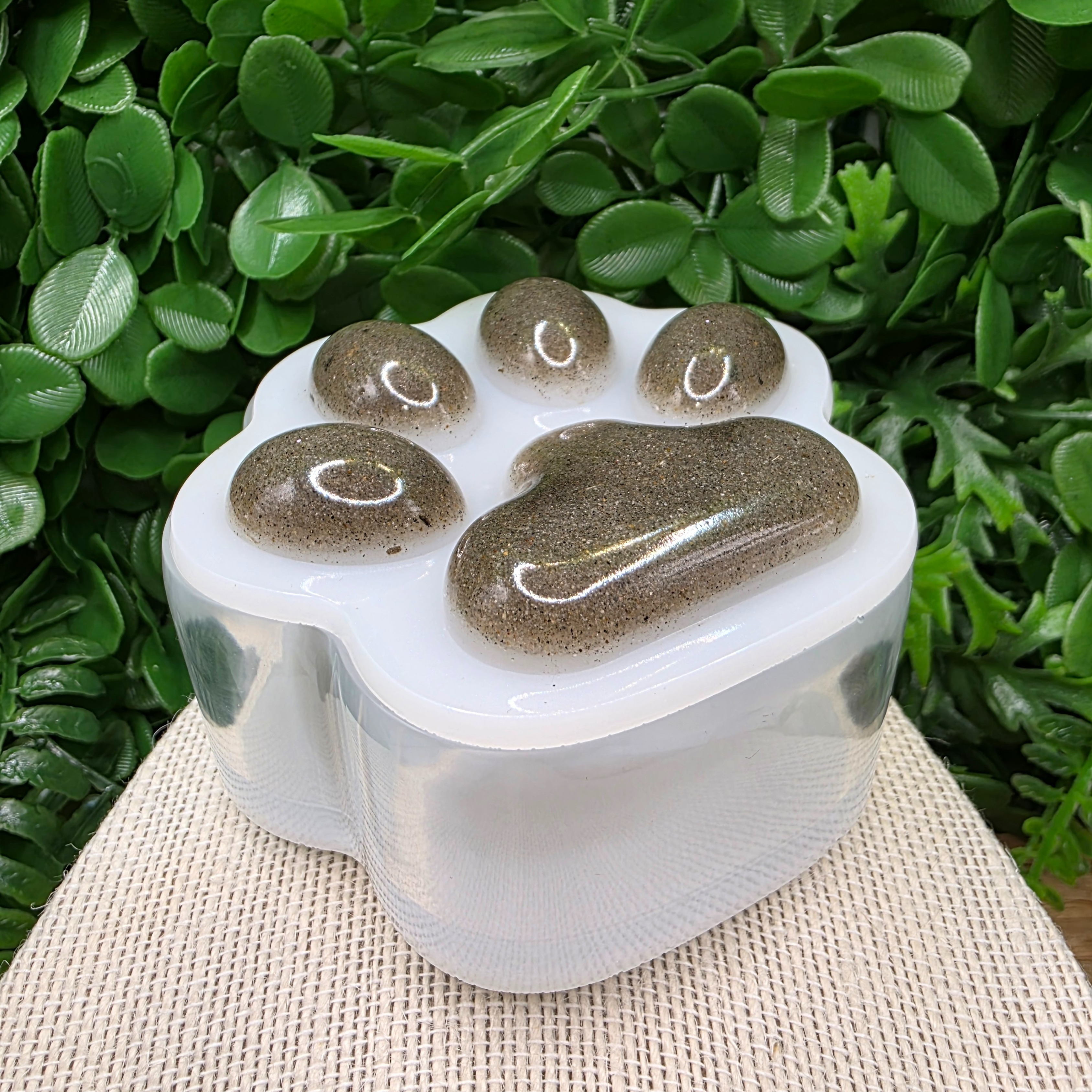 Paw Print Resin Memory Box