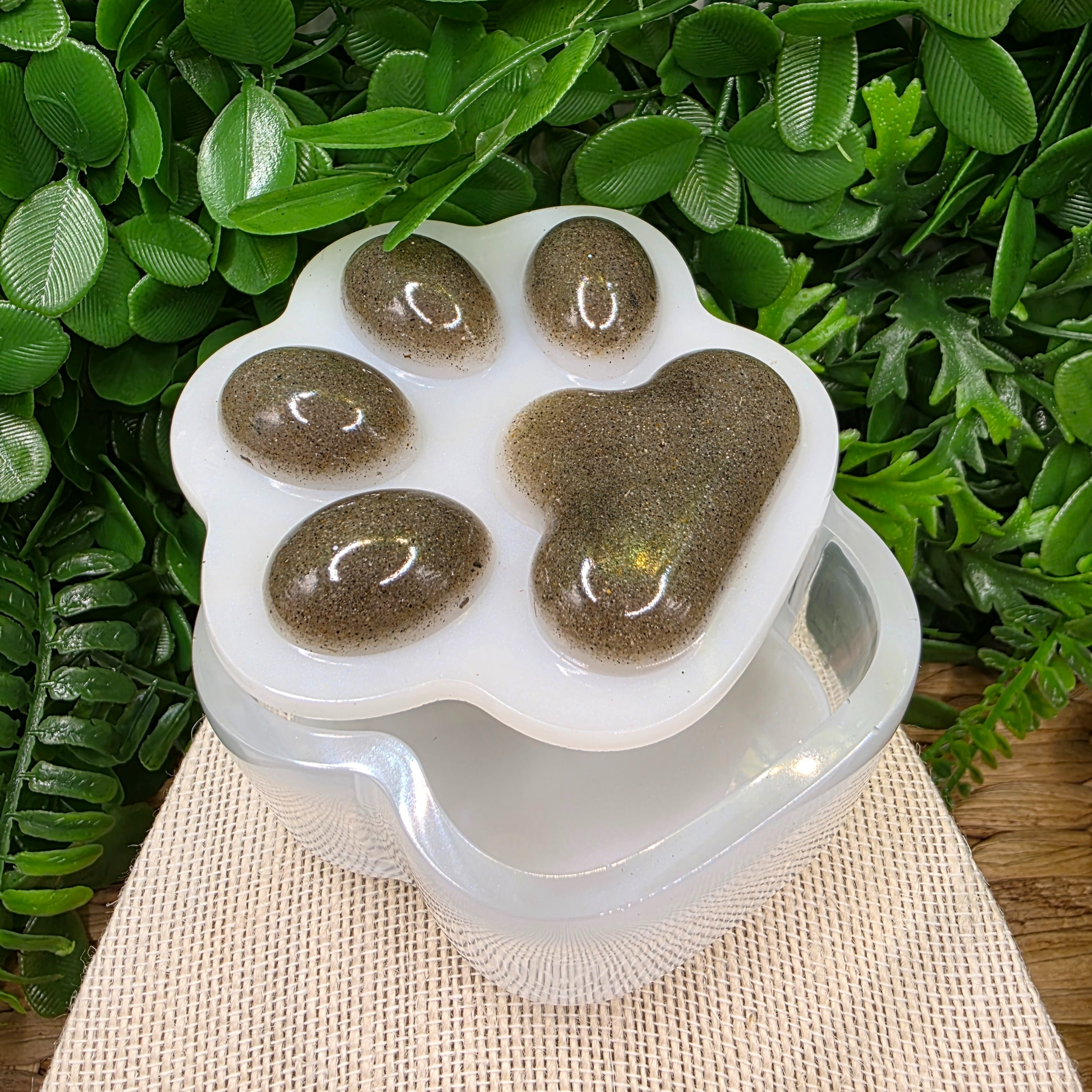 Paw Print Resin Memory Box